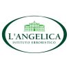 L'angelica
