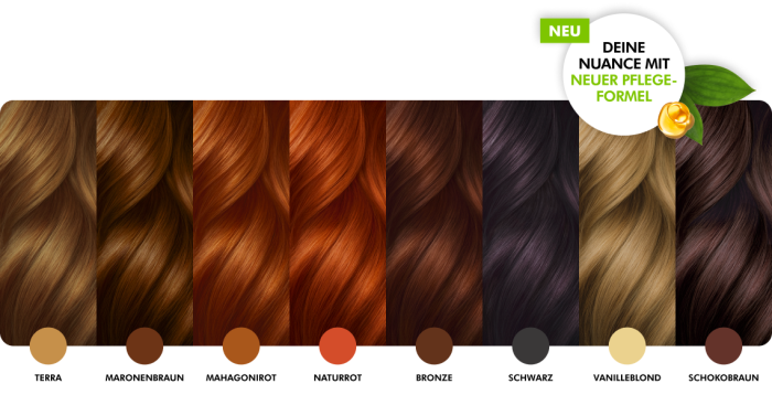 Sante БІО-Фарба-порошок для волосся рослинна Бронза/Bronze